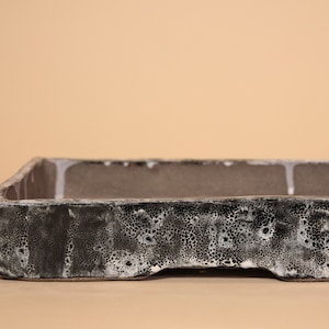 May include: A rectangular black and white ceramic bonsai pot with a textured surface.