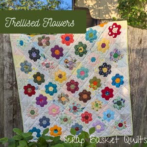 EPP zeshoekig quiltpatroon met bloemen trelling: meerdere maten