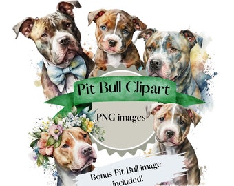 Pitbull clipart, dog puppy clip art digital download PNG images, pit bull watercolor portrait image bundle, instant prints and pittie dogs