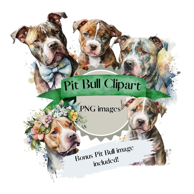 May include: Watercolor clipart featuring five pit bull images. One pit bull wears a blue bow tie, and another wears a floral crown. The text "Pit Bull Clipart" and "PNG images" are displayed on a green banner. A bonus image is included.