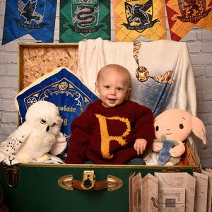 May include: A baby wearing a maroon sweater with a yellow letter 'P' on the front, sitting in a green suitcase with a white owl plush toy and a brown elf plush toy. The suitcase is decorated with a map and there are four Harry Potter house banners hanging on the wall behind the suitcase.