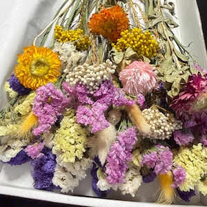 Dried Wildflower Craft Kit:  Bouquet Supplies two boxes of mixed dried flowers