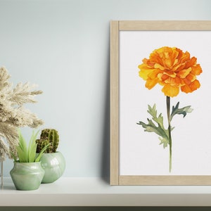 Simple Marigold Watercolor Print - Botanical Wall Art, Digital Downloadable Art, Nature Art Print
