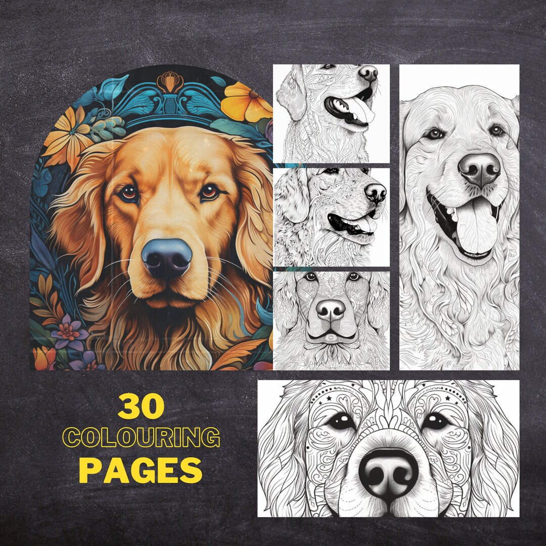 30 Golden Retriever Colouring Pages, Amazing Patterns, Adult Colouring Book, Digital Colouring ...