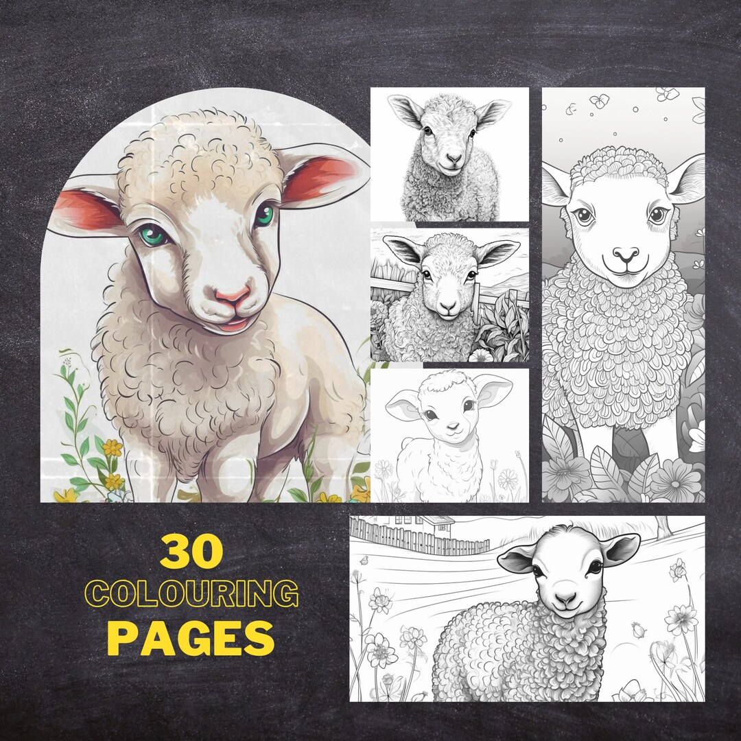 30 Baby Sheep Colouring Pages, Amazing Patterns, Adult Colouring Book ...
