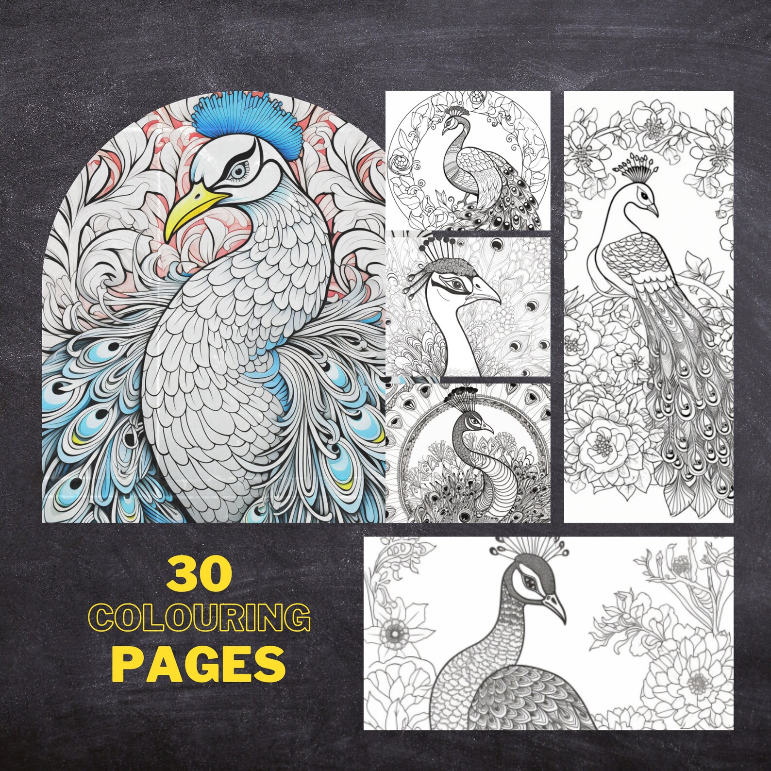 30 Peacock Colouring Pages, Amazing Patterns, Adult Colouring Book ...
