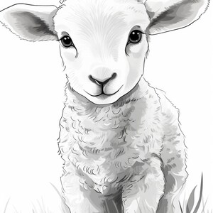 30 Baby Sheep Colouring Pages, Amazing Patterns, Adult Colouring Book ...