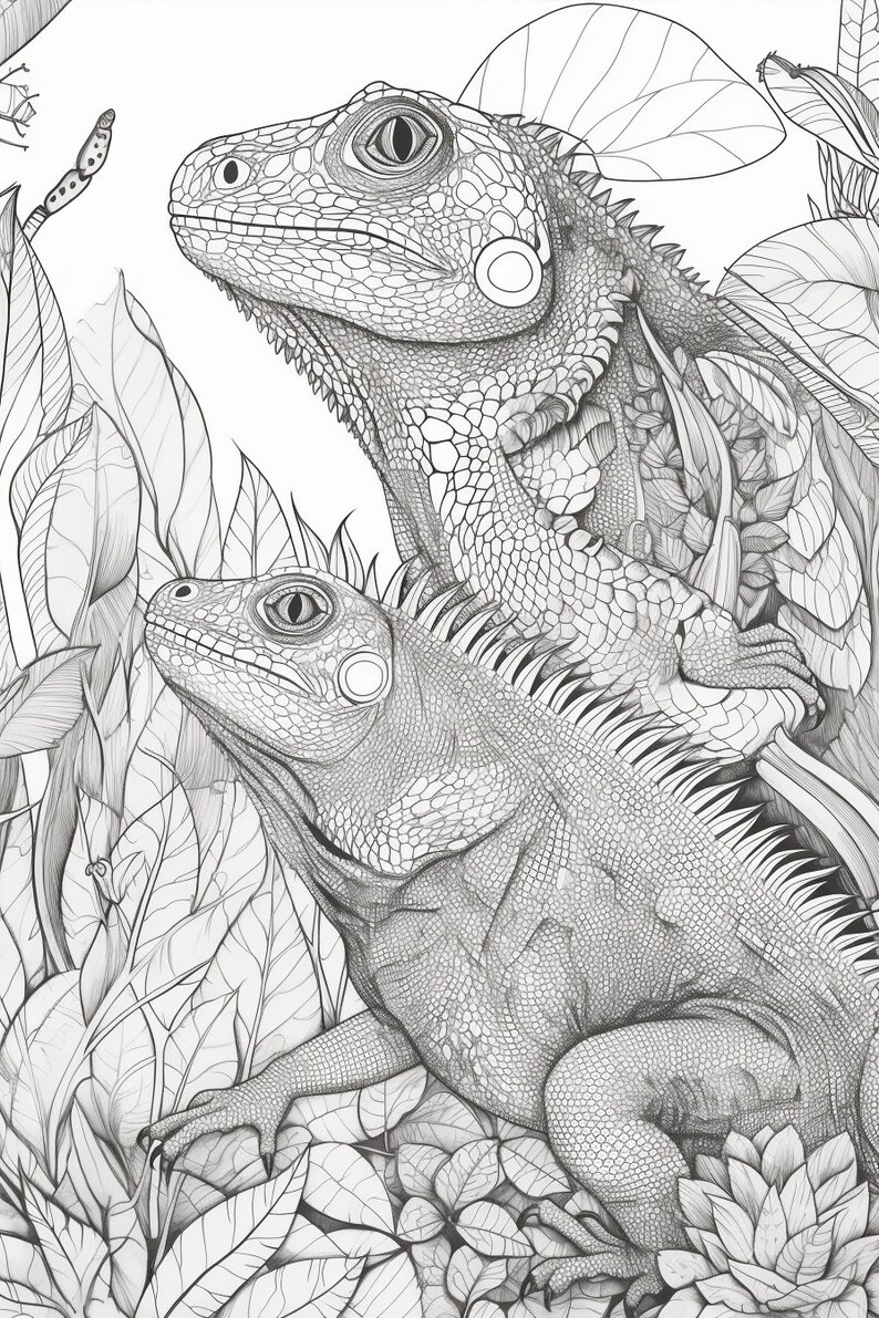 50 Reptile Colouring Pages for Adults, Amazing Patterns for Stress