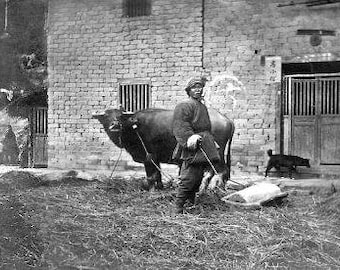 China photographs ca 1898