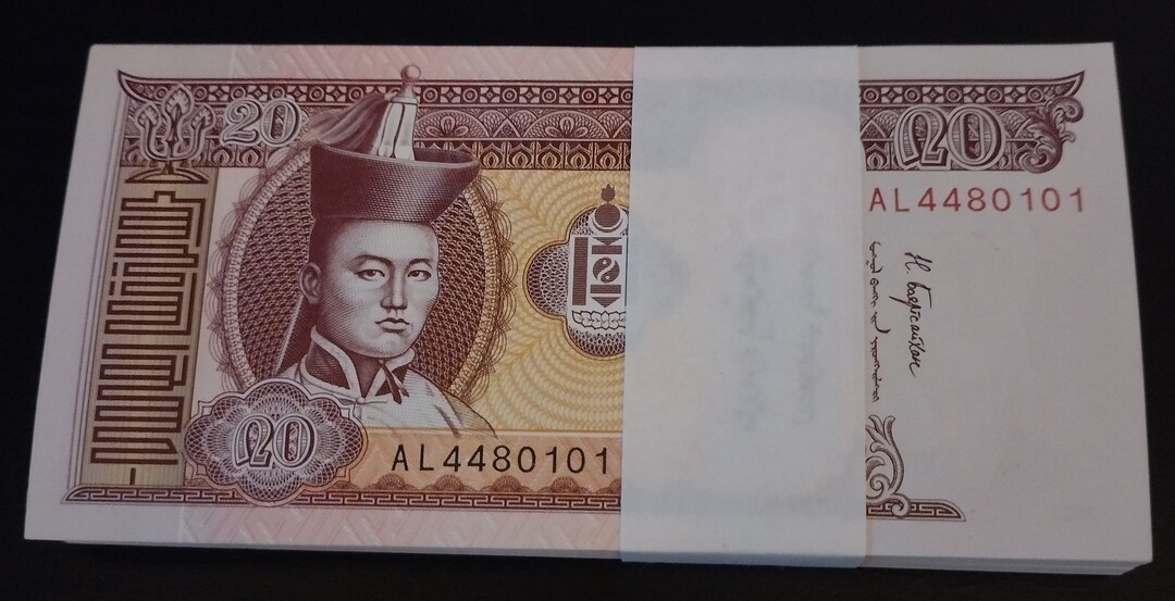 1 BUNDLE 100 Pcs Bank Notes MONGOLIA 20 Tugrik UNCIRCULADED 2017 Cash ...