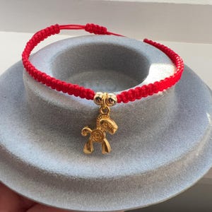 May include: A red braided bracelet with a gold-colored horse charm. The charm has a coin design in the center. The bracelet is adjustable and sits on a light blue surface. The bracelet is a piece of jewelry.