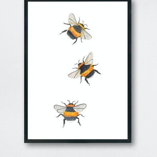Bumblebee wall art print, simple & sweet bee design, white tailed British bumblebee. A6 in size. Print from original watercolour painting.