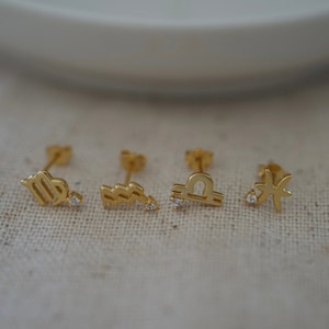 Tiny Zodiac Stud Earrings - Custom Zodiac Jewelry - Minimalist Zodiac Earrings - Astrology Earrings - Celestial Jewelry - Personalized Gift