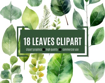 Spring Leaves Clipart - Zauberhafte Sammlung von 13 Transparenten Grafiken!