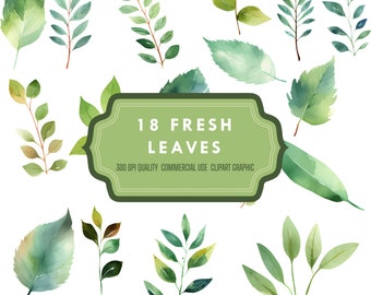 Üppige Blätter Clipart Bundle - Atemberaubende Sammlung von 18 einzigartigen Blatt-Grafiken in 300 DPI!