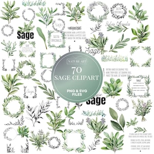 Pacote Sage Mega PNG e SVG de 70 unidades, clipart de ervas em aquarela, erva de cozinha, ilustração de arte digital permitida por POD para uso comercial