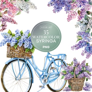 Bundle PNG de fleurs de syringa aquarelle, lilas pour Clipart fête des mères, POD autorisé Illustration d'art numérique pour un usage commercial