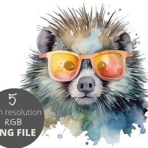 5 Hedgehog with sunglasses Water Color Animal PNG Bundle, Animal Clipart, POD Allowed Digital Art Illustration for Commercial Use, 300 dpi