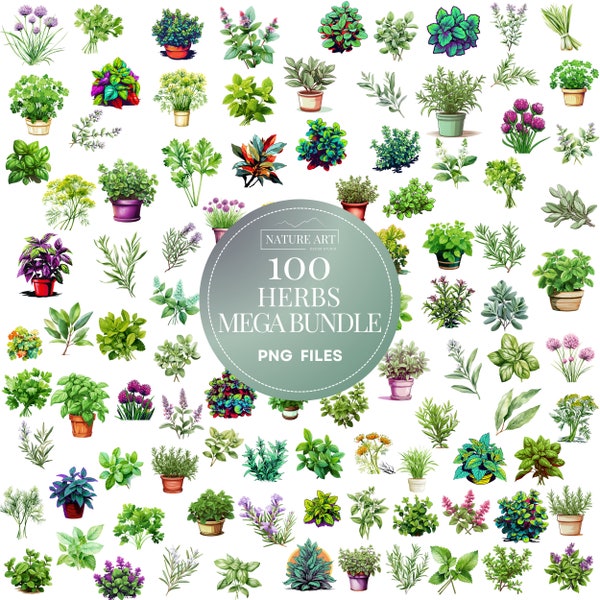 100 Stück Kräuter Mega PNG Bundle, Aquarell Kräuter Clipart, buntes Küchenkraut, POD erlaubt Digital Art Illustration für kommerzielle Nutzung