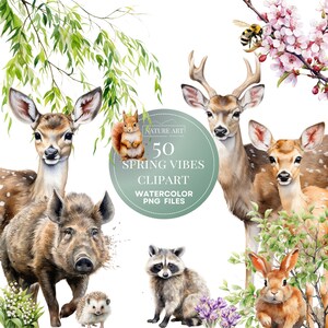 50 Stück Wunderbare Frühling Natur PNG Bundle, Aquarell Tier Clipart, Aquarell Frühling Design, Waldtiere PNG, kommerzielle Nutzung inbegriffen