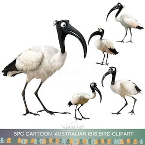 5pc Cartoon Australian White IBIS bird Clipart PNG Bundle, Cute Ibis POD Allowed Digital Art, White and Black Ibis Bird Illustration