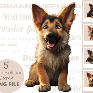 5pc mignon dessin animé berger allemand PNG Bundle, mignon Animal POD autorisé Art numérique, chien Illustration, usage Commercial, Sublimation Line Art