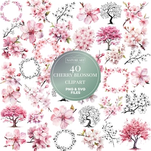 40 Stück Kirschblüte PNG und SVG Bundle, Aquarell Frühling Clipart, Kirschbaum, POD erlaubt Digital Art Illustration für kommerzielle Nutzung