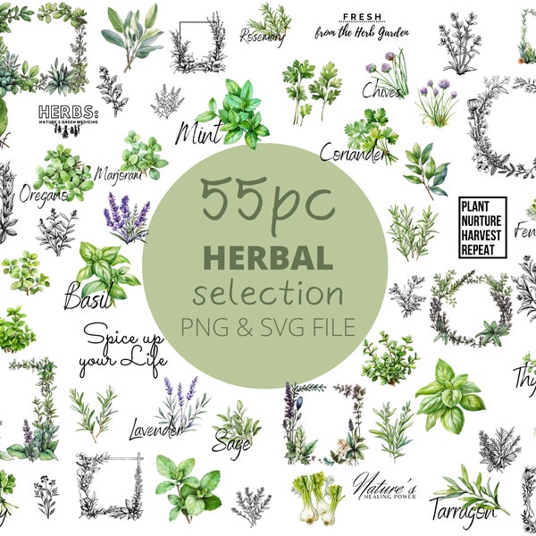 55pc Herbal Mega PNG and SVG Bundle, watercolor spice Clipart, kitchen herb, POD Allowed Digital Art Illustration for Commercial Use