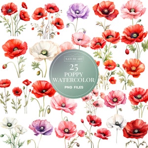 Pacote PNG de papoula em aquarela de 25 peças, clipart floral em aquarela, arte sazonal, ilustração de arte digital permitida por POD para uso comercial