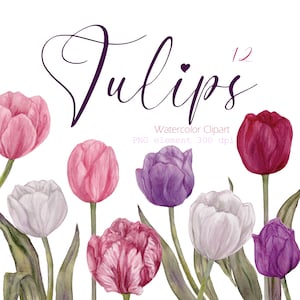Watercolor Tulips Clipart, Easter PNG, Spring flowers Clipart,  Flowers Clipart, Easter decor, Spring Garden, Tulips art