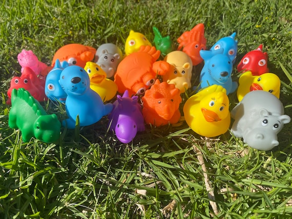 Baby Bath Toys Shower Water Floating Squeaky Rubber Ducks Bunnies Fish  Hippo and More Mix Lot 12 Birthday Cake Topper Party Favors for Kids 