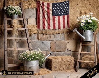 Rustikaler Americana Digitalfotografie Hintergrund, Vaterländischer Digitaler Hintergrund, Unabhängigkeitstag Digitaler Hintergrund Photoshop Overlay 4