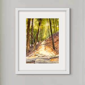 Sunlit Autumn Trail, Original Watercolor Painting - 9x12 Northern California Landscape Art, with 11x14 Mat
