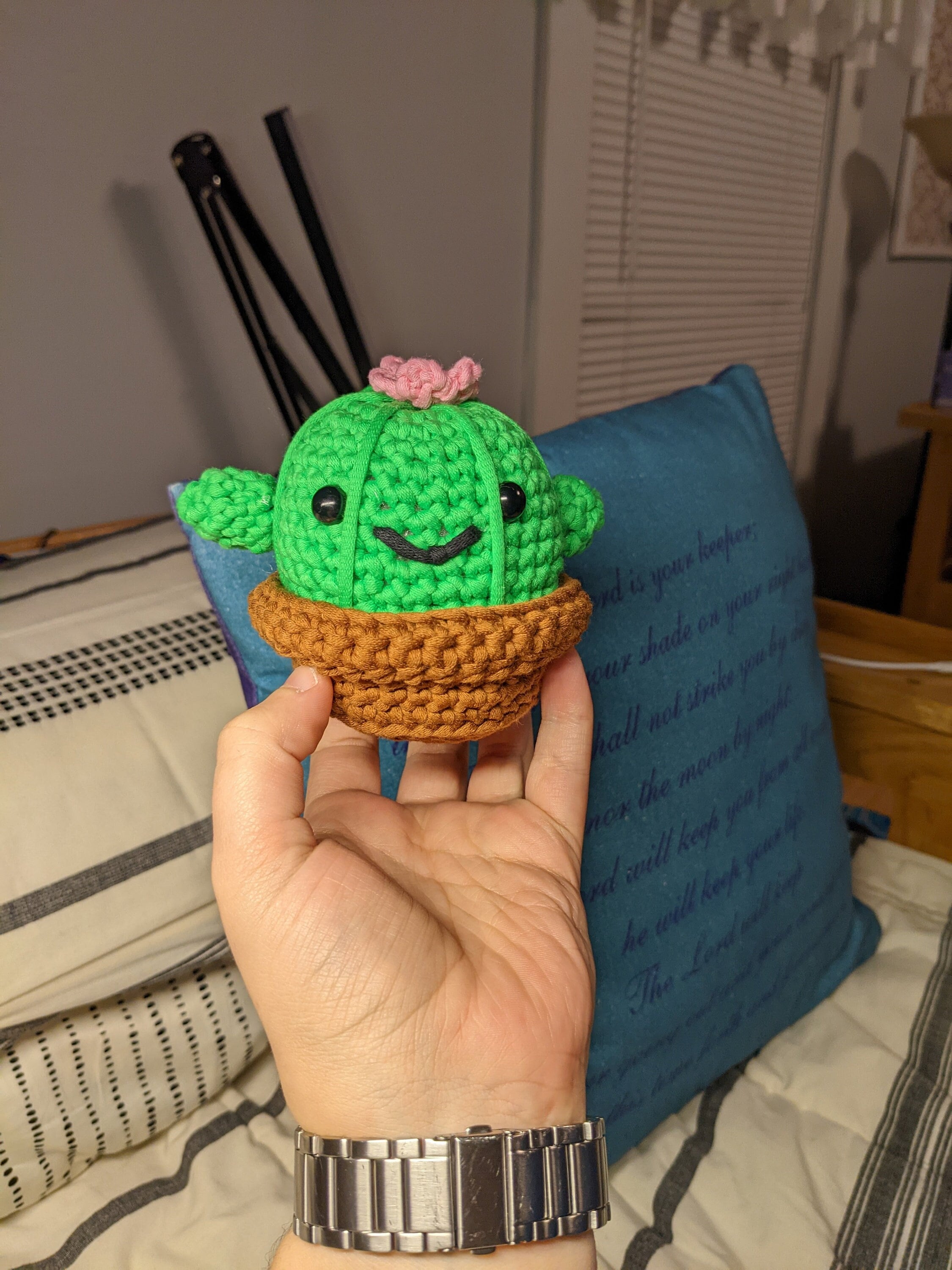 Meet Clint the Cactus! 🥰🌵 #thewoobles
