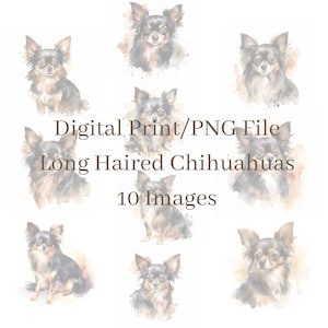 Long Haired Chihuahuas Digital Prints