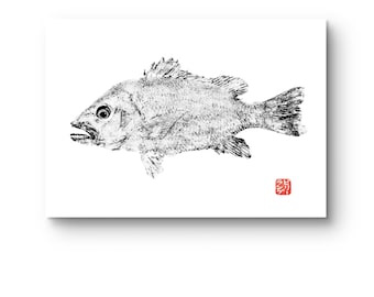 Impresión Gyotaku Mangrove Jack: Arte japonés de peces (Impresión A3)