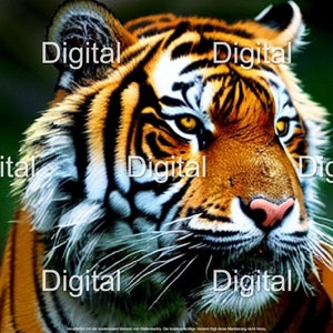 Tiger Animal Digital Art Download