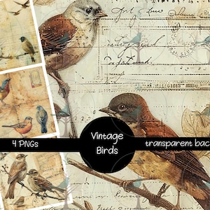 Vintage Bird Clipart Set PNG, Antique Sparrow Illustrations With Ephemera, Rustic Nature Collage Graphics, Junk Journal Bird Art, Bundle