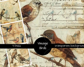 Conjunto de clipart de pássaros vintage PNG, ilustrações de pardais antigos com itens efêmeros, gráficos de colagem de natureza rústica, arte de pássaros de diário de lixo, pacote