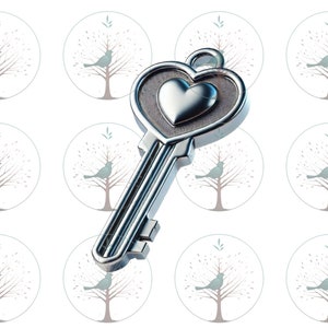 Llave de plata, Bienes raíces, Clipart de scrapbooking, Nuevo propietario, Llave de corazón, Metal brillante, Casa, Arte de llave maestra, Archivo PNG digital instantáneo