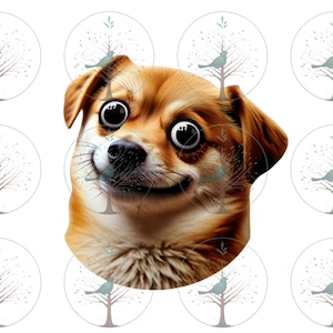 Dummes Meme Hund, lustiges Welpen-Gesicht, niedliche Hund T-Shirt Design Sublimationsdatei, humorvoll, lustige Hund Mutter, Junk Journal, Scrapbooking, Instant PNG