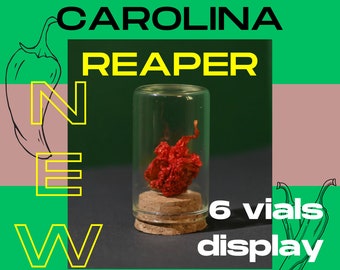 Carolina Reaper Hot Peppers Pack of 6 Colors / Displayed in vials / 100% Organic / Spicy Variety Set / Spicy Gift Collection / Fiery Gift