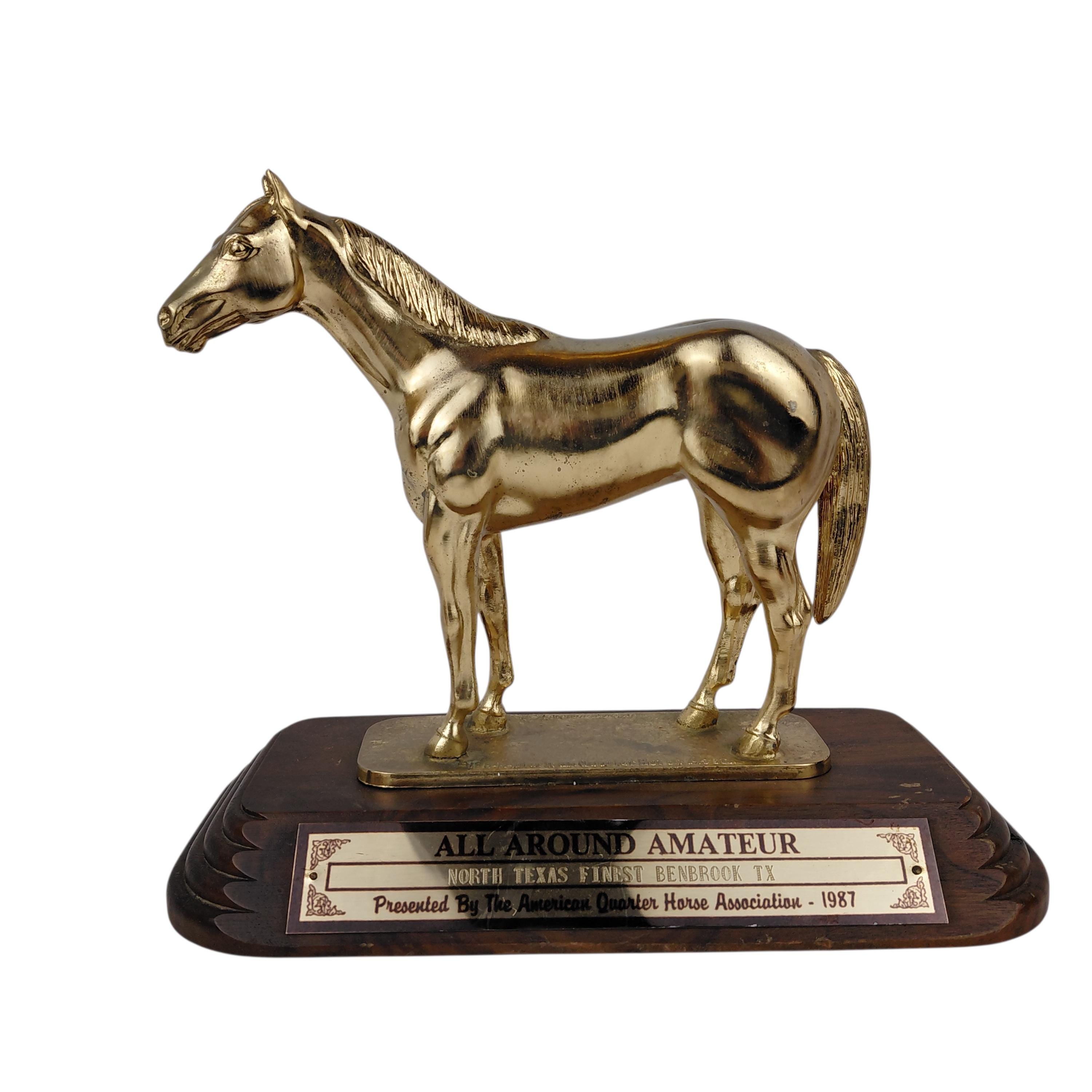 Aqha Trophy - Etsy
