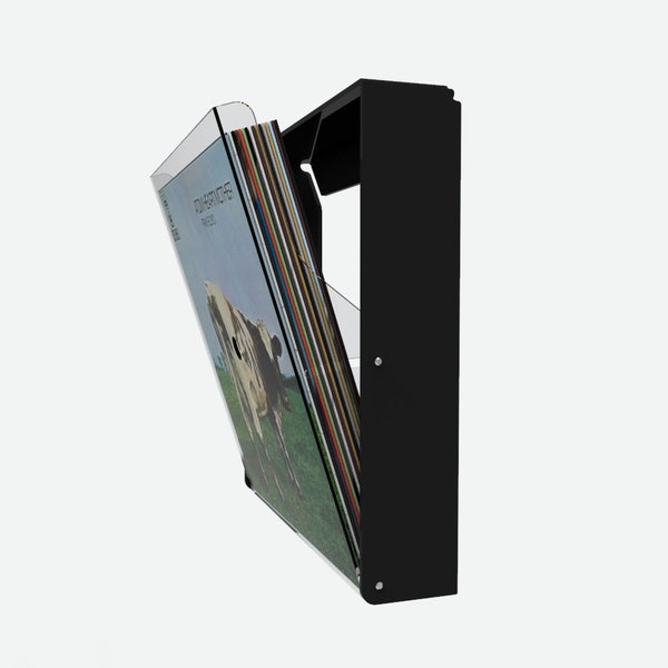 Record Album Wall Display / Wall Mounted Vinyl Holder / Vinyl Record Storage for Wall / LP Storage Wall/ Wall Record Storage with Drawer