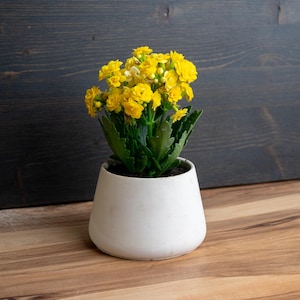 Custom Silicone Jar and Lid Mold: Personalized Logo Candle jar & Flowerpot (12oz / 360ml)