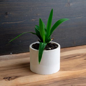 Custom Silicone Jar and Lid Mold: Personalized Logo Candle jar & Flowerpot (14oz / 400ml) image 5