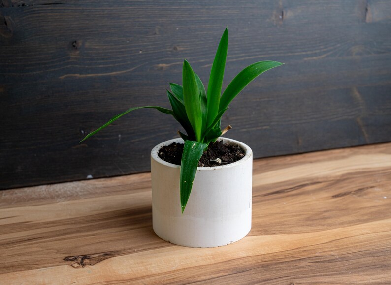 Custom Silicone Jar and Lid Mold: Personalized Logo Candle jar & Flowerpot (14oz / 400ml) image 5