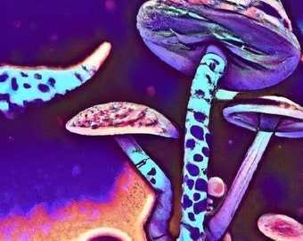Pack 3 Mushroom Dream Art - Space Mushroom - Psychedelic Mushroom Art - Digital Art - 5 Pack
