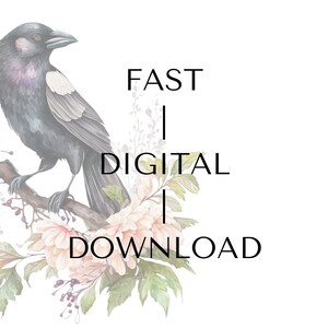 51 Png, Watercolor Birds on Floral Branches, Clipart Bundle, Springs ...