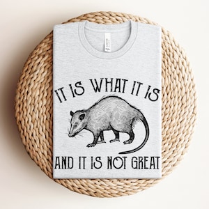 Possum Shirt, Opossum Shirts, Cute Opossum Tee, Opossum Lover Shirt, Funny Possum Shirt, Possum Gifts, Funny Animal Shirt